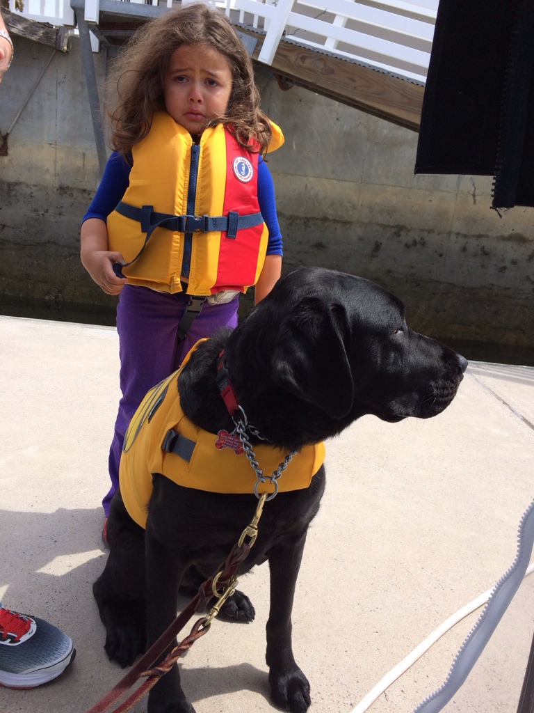 A life vest makes me a water dog as much as wearing Gucci makes one ready  to be a model. It doesn't! – Darwin the Diabetic Alert Dog